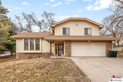 Photo of 8202 Arlington Drive, Omaha, NE 68134 (MLS # 22607264)