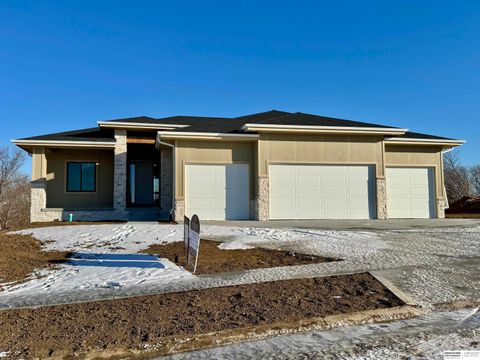 Photo of 8958 Von Street, Papillion, NE 68046 (MLS # 22600240)