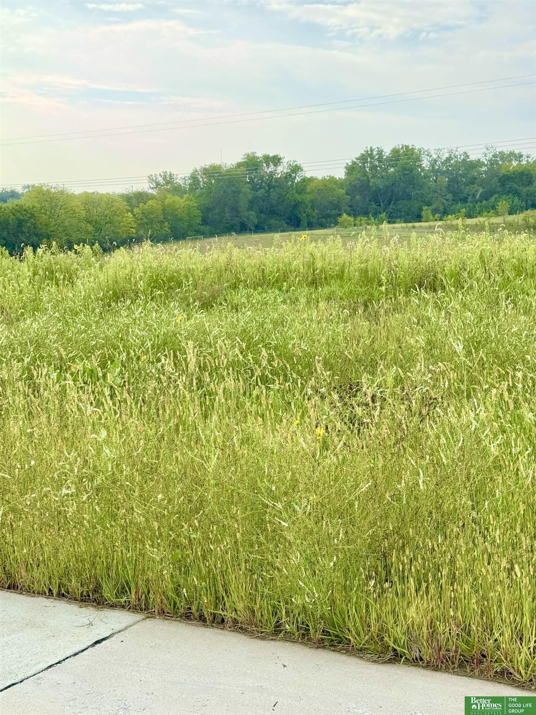 Photo 1 of 10 — 22715 Quarry Lane, Gretna, NE 68028