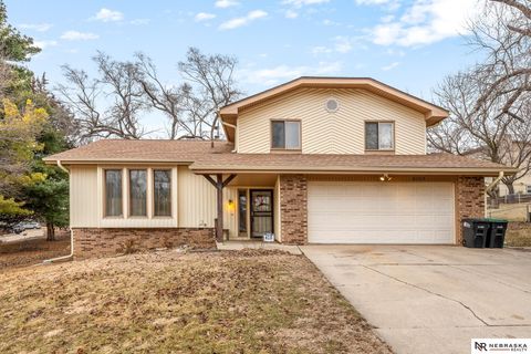 Photo of 8202 Arlington Drive, Omaha, NE 68134 (MLS # 22603610)