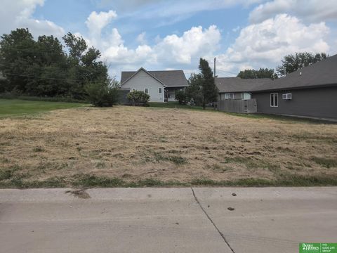 Photo of 2515 N 138th Street, Omaha, NE 68164 (MLS # 22529462)