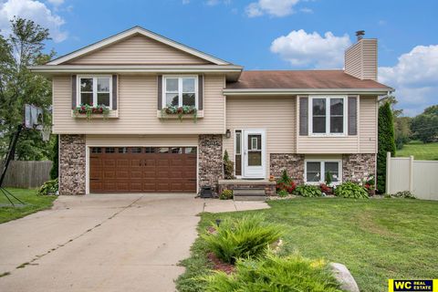 Photo of 11153 N Lakeshore Drive, Blair, NE 68008 (MLS # 22523493)