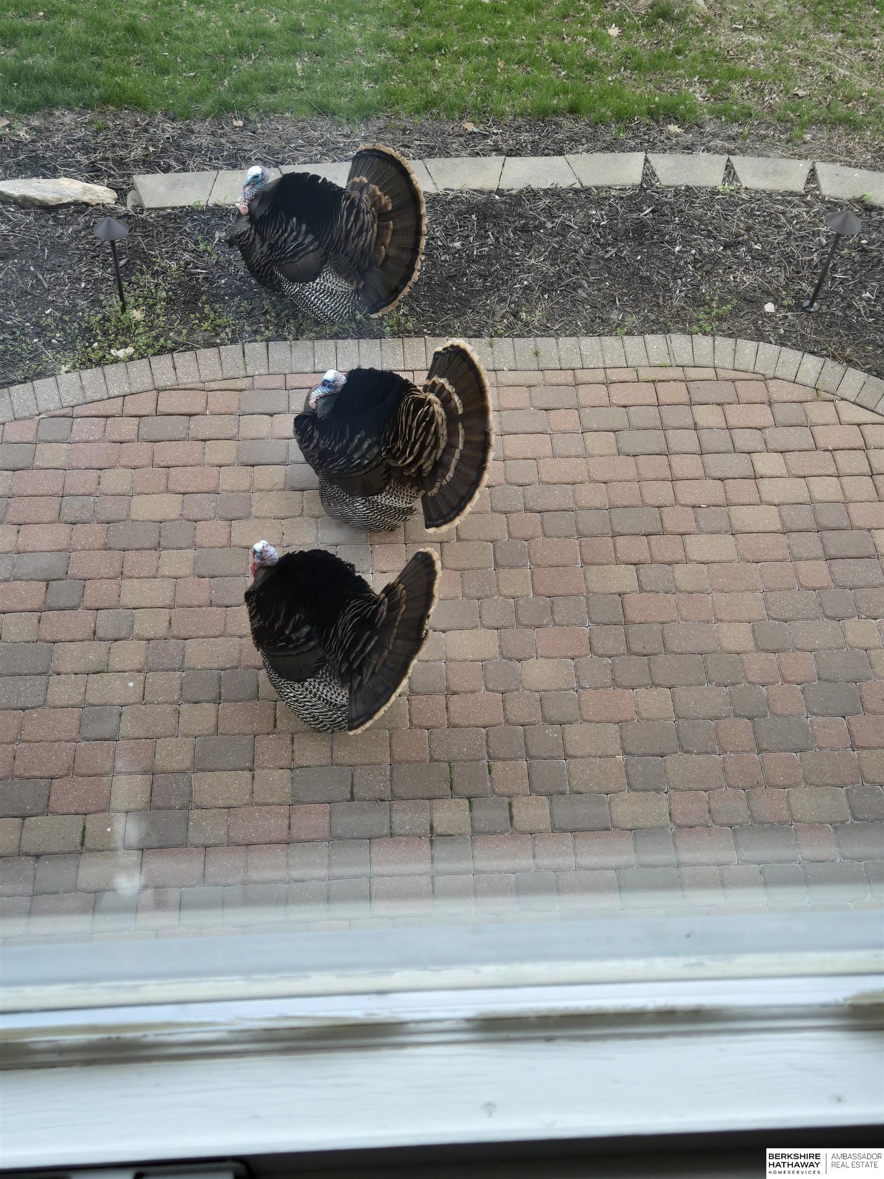 Omaha, Nebraska 68022, United States, 5 Bedrooms Bedrooms, ,4 BathroomsBathrooms,Residential,Active,143450