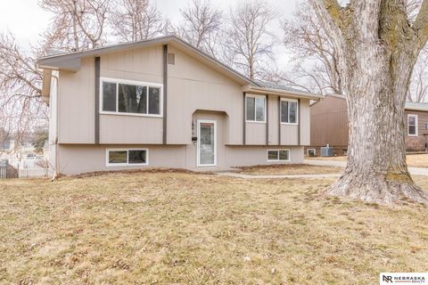 Photo of 7611 Teal Street, La Vista, NE 68128 (MLS # 22610566)
