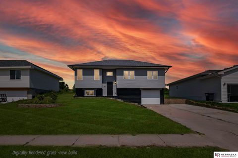 Photo of 3809 Appaloosa Drive, Omaha, NE 68022 (MLS # 22602600)