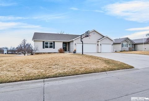 Photo of 131 Ash Street, Syracuse, NE 68446 (MLS # 22605537)
