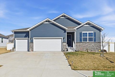 Photo of 11452 Sunburst Drive, Papillion, NE 68046 (MLS # 22607320)
