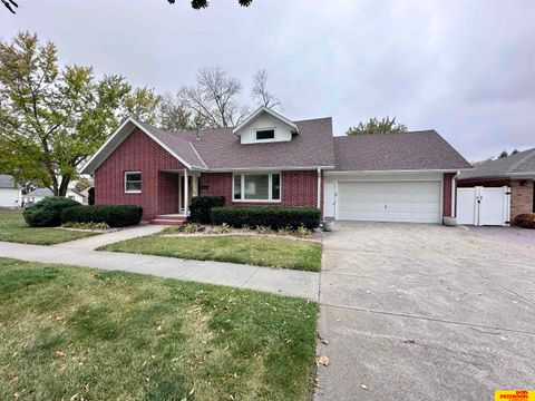 Photo of 519 S Niphon Street, West Point, NE 68788 (MLS # 22530936)
