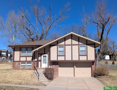 Photo of 12512 Yates Street, Omaha, NE 68164 (MLS # 22606256)