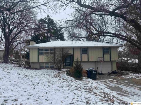 Photo of 1915 S 124th Street, Omaha, NE 68144 (MLS # 22534475)