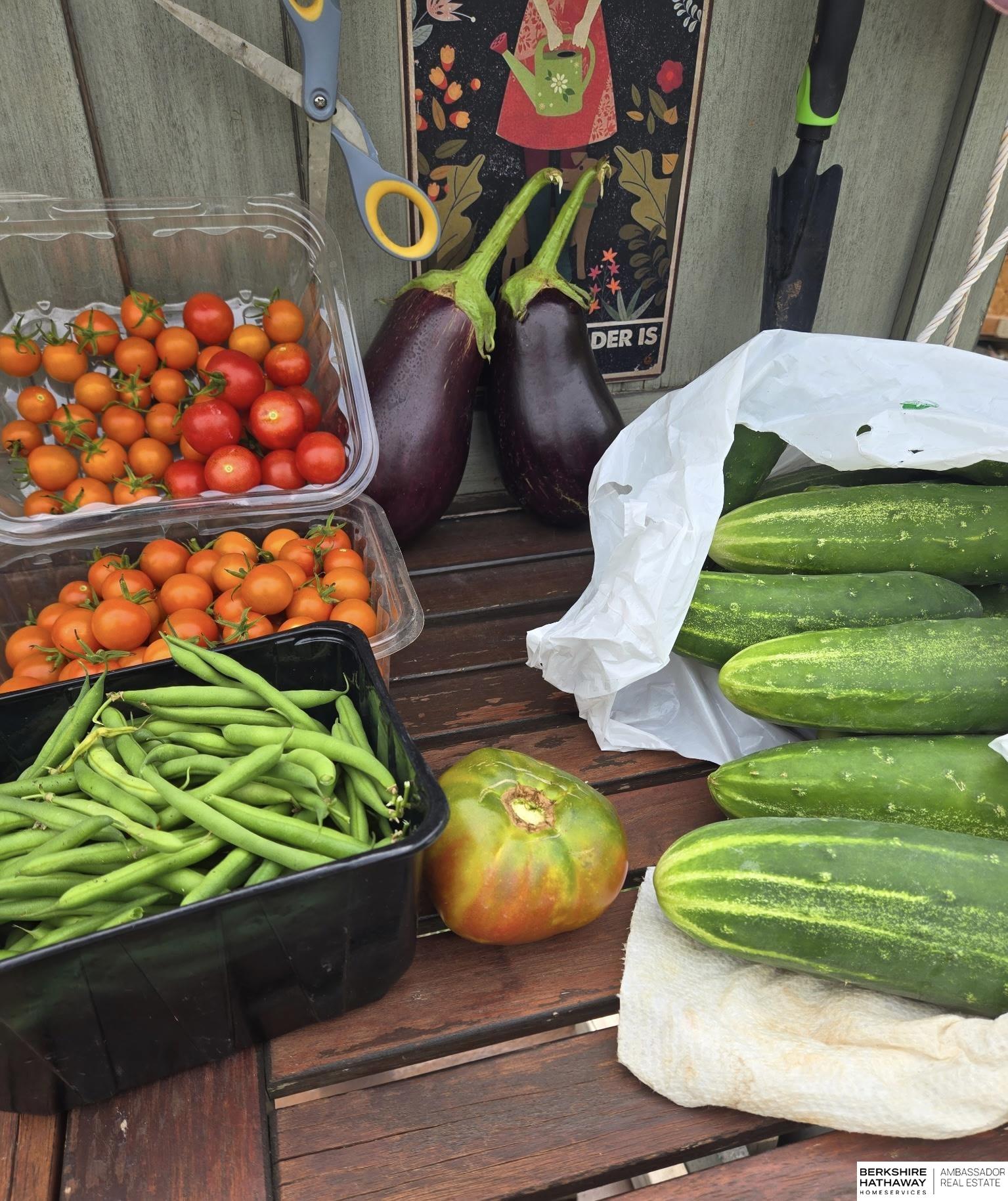 Louisville, Nebraska 68037, United States, 3 Bedrooms Bedrooms, ,3 BathroomsBathrooms,Residential,Active,198590