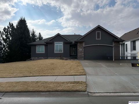 Photo of 16951 Polk Street, Omaha, NE 68135 (MLS # 22606221)