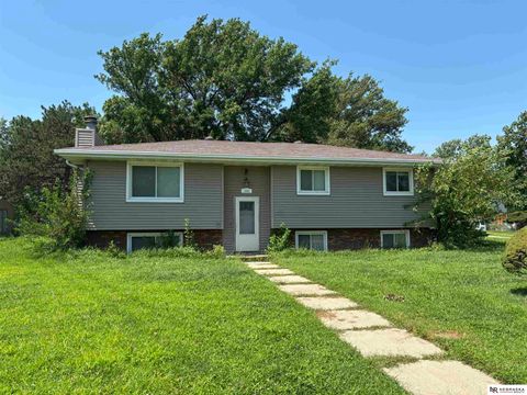 Photo of 1006 Colorado Street, Bellevue, NE 68005 (MLS # 22522479)