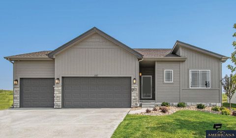 Photo of 16902 Newport Avenue, Omaha, NE 68116 (MLS # 22530702)