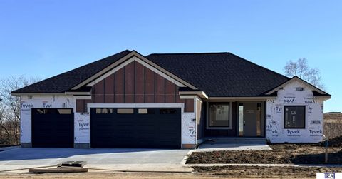 Photo of 613 Valley Road, Papillion, NE 68046 (MLS # 22601235)