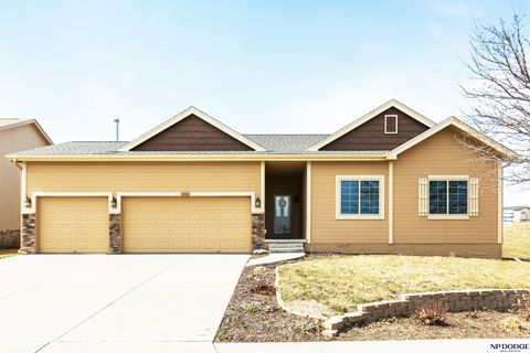 Photo of 4202 S 202 Avenue, Omaha, NE 68135 (MLS # 22606296)