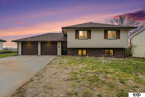 Photo of 240 Riverview Drive, Blair, NE 68008 (MLS # 22608657)