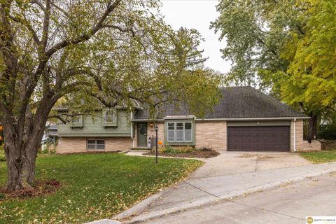 Photo of 1256 Peterson Drive, Omaha, NE 68130 (MLS # 22531271)