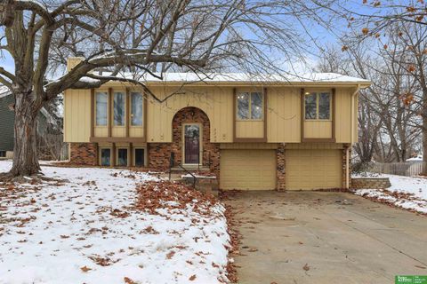 Photo of 3306 Lynnwood Drive, Bellevue, NE 68123 (MLS # 22534360)