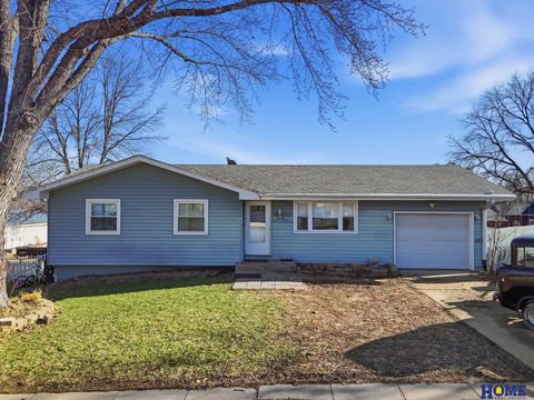 Photo of 1010 B Street, Palmyra, NE 68418 (MLS # 22604823)