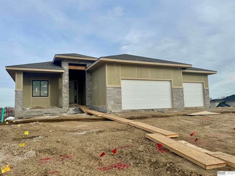 Photo of 4503 S 203rd Avenue, Omaha, NE 68135 (MLS # 22605060)