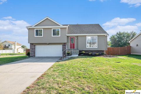 Photo of 1507 Charleston Drive, Papillion, NE 68133 (MLS # 22528589)