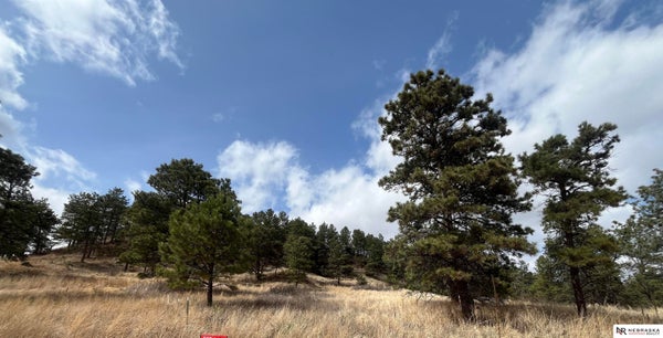LOT 4 WILLEYS HILLS, VALENTINE, NE 69201 - Image b7ebfcc054bd7b562ea481f42207467b/3420766794