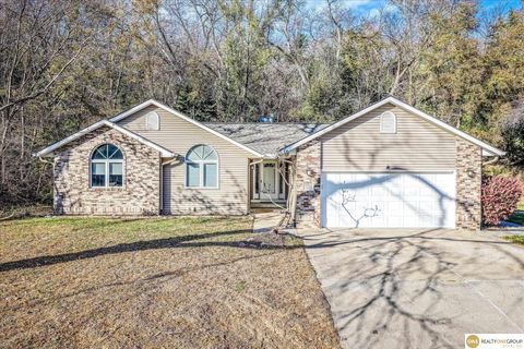 Photo of 10724 Oak Park Lane, Blair, NE 68008 (MLS # 22605159)