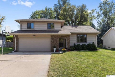 Photo of 809 Buckboard Boulevard, Papillion, NE 68046 (MLS # 22528513)