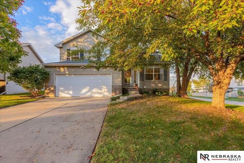 Photo of 12904 Curtis Avenue, Omaha, NE 68164 (MLS # 22529937)