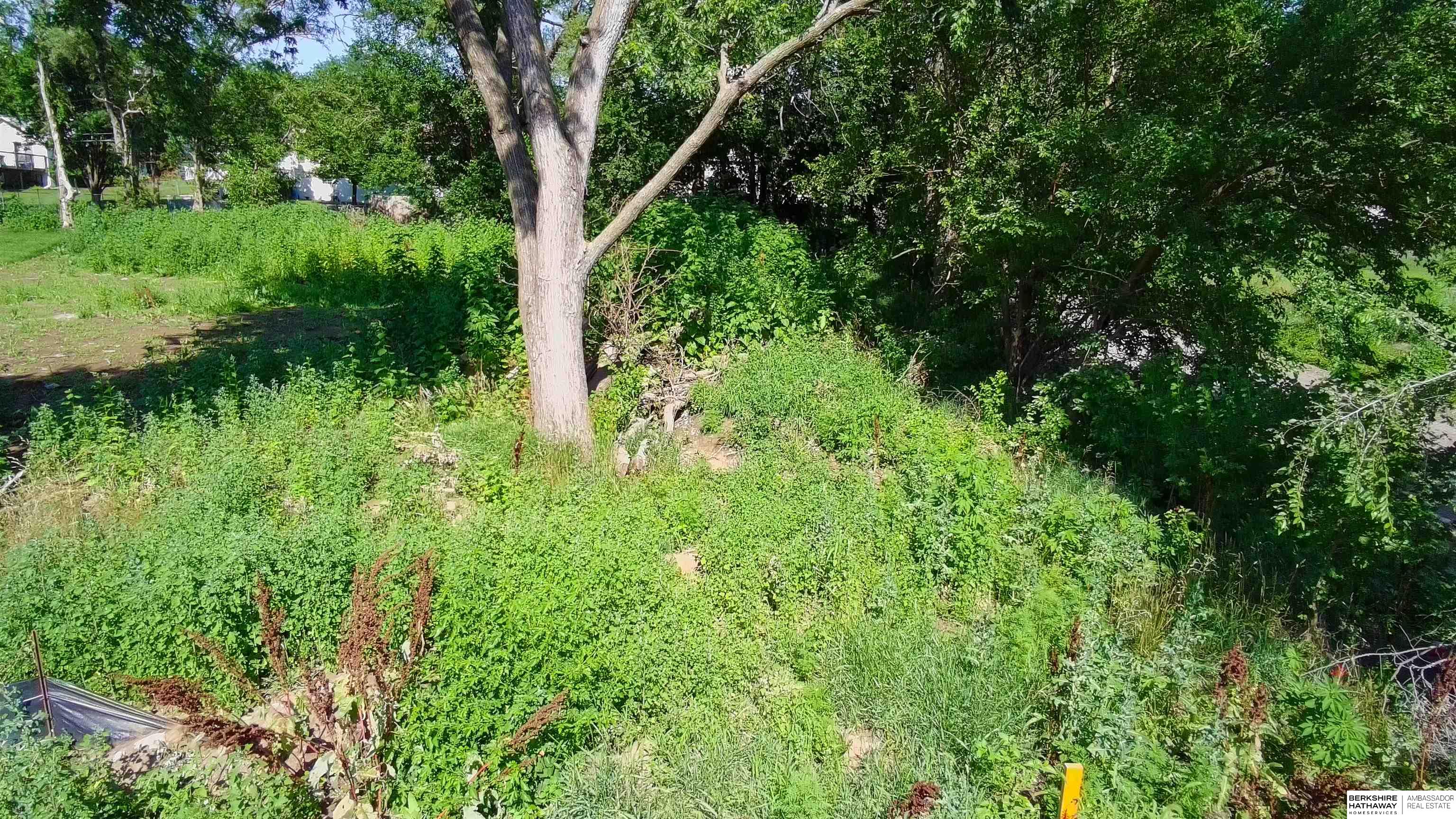 Omaha, Nebraska 68117, United States, ,Land,Active,164886