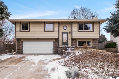 Photo of 8107 Vernon Avenue, Omaha, NE 68134 (MLS # 22602999)