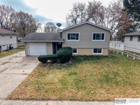 Photo of 909 F Street, Eagle, NE 68347 (MLS # 22534619)