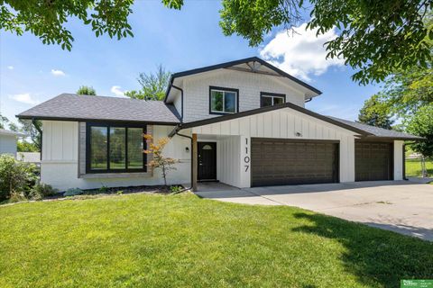 Photo of 1107 Somerset Drive, Bellevue, NE 68005 (MLS # 22619141)