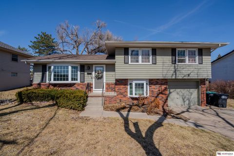 Photo of 9342 Corby Street, Omaha, NE 68134 (MLS # 22601633)