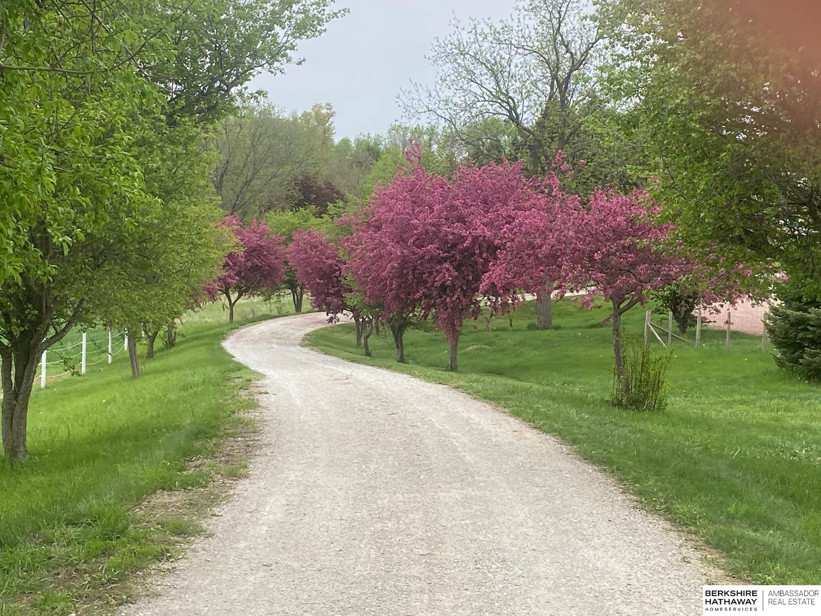 Tekamah, Nebraska 68061, United States, 4 Bedrooms Bedrooms, ,3 BathroomsBathrooms,Residential,Active,158119