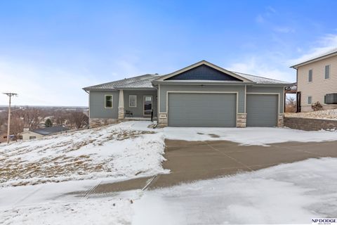 Photo of 1010 S 17 Avenue, Blair, NE 68008 (MLS # 22607148)