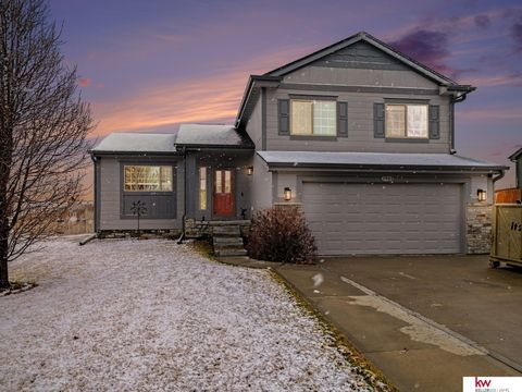 Photo of 1903 Mesa Street, Bellevue, NE 68123 (MLS # 22605311)