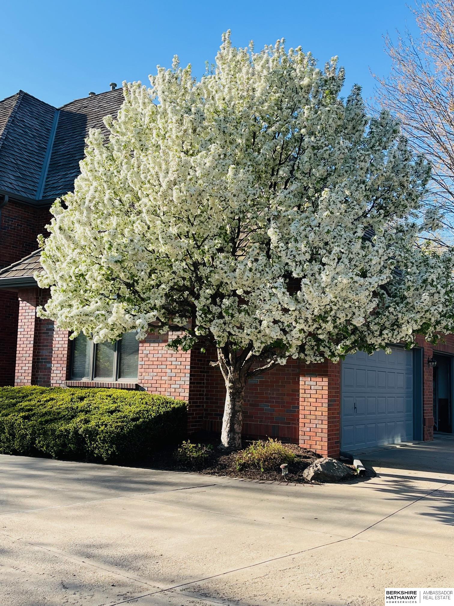 Omaha, Nebraska 68114, United States, 5 Bedrooms Bedrooms, ,4 BathroomsBathrooms,Residential,Active,111138