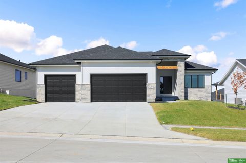 Photo of 12375 lake Vista Drive, Papillion, NE 68046 (MLS # 22533098)