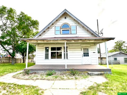 Photo of 333 N Lincoln Street, West Point, NE 68788 (MLS # 22613930)