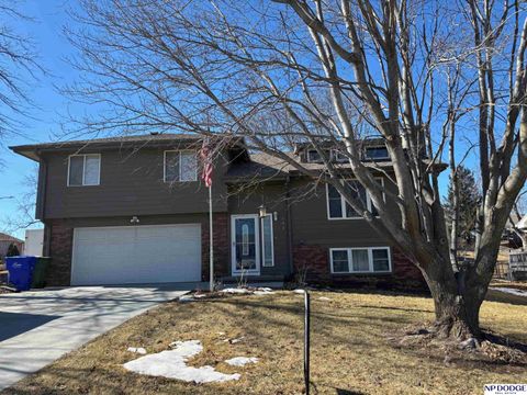 Photo of 604 Laredo Road, Papillion, NE 68046 (MLS # 22605171)