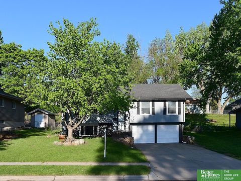 Photo of 1114 Hackney Drive, Papillion, NE 68046 (MLS # 22611973)