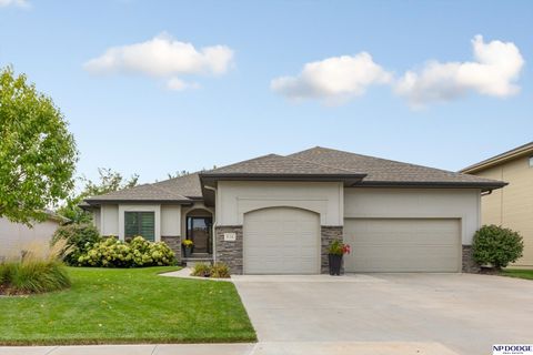 Photo of 816 S 191 Avenue, Elkhorn, NE 68022 (MLS # 22527081)