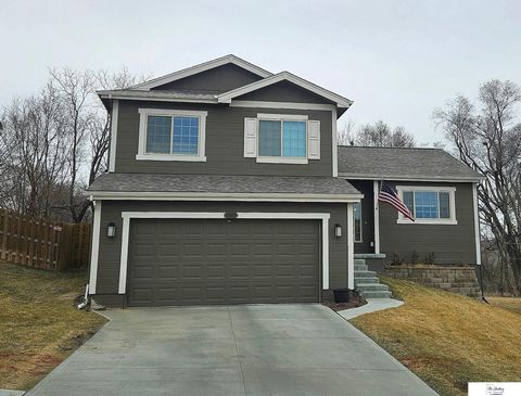 Photo of 8009 N 84 Street, Omaha, NE 68122 (MLS # 22605509)