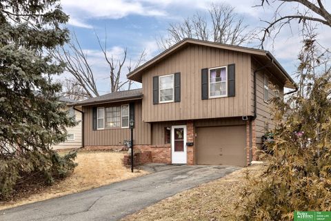 Photo of 9056 Meadow Drive, Omaha, NE 68114 (MLS # 22603449)