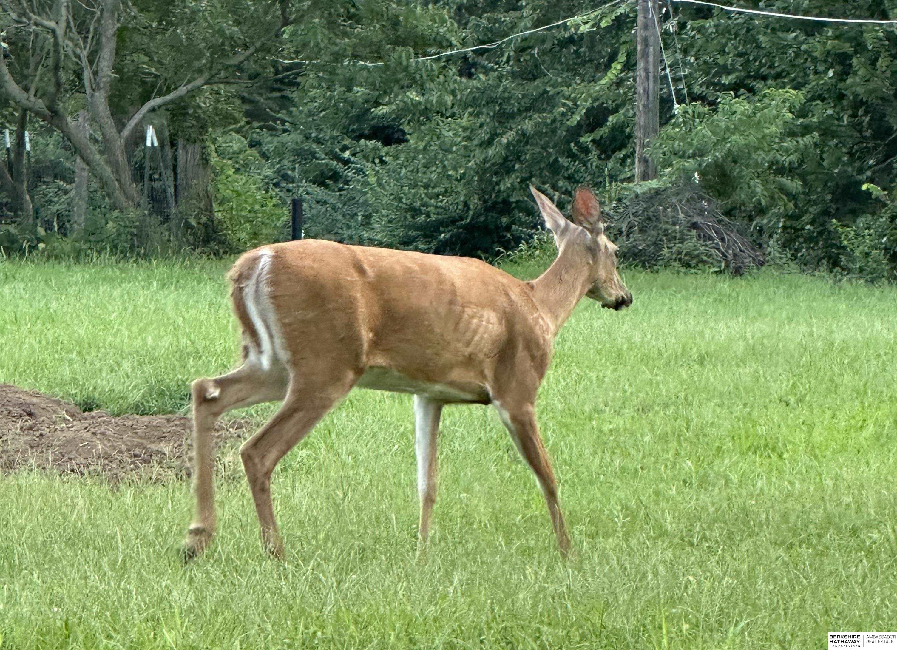 Omaha, Nebraska 68112, United States, 3 Bedrooms Bedrooms, ,2 BathroomsBathrooms,Residential,Pending,196330