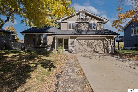 Photo of 12946 Himebaugh Avenue, Omaha, NE 68164 (MLS # 22531133)