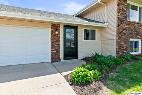 Photo of 354 E Baronage Drive, Blair, NE 68008 (MLS # 22607052)