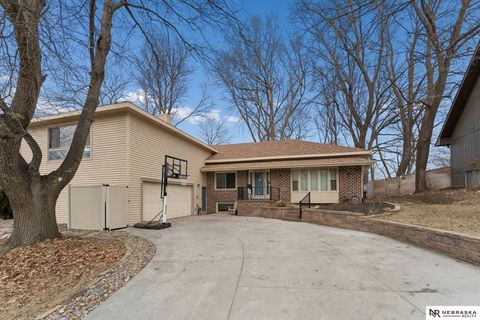 Photo of 601 N Martin Drive, Bellevue, NE 68005 (MLS # 22604203)